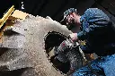 490081 .webp
