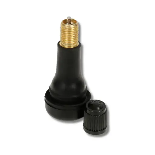 [200413] VALVE TUBELESS TR413 P100