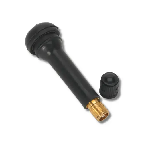 [200418] VALVE TUBELESS TR418 P100