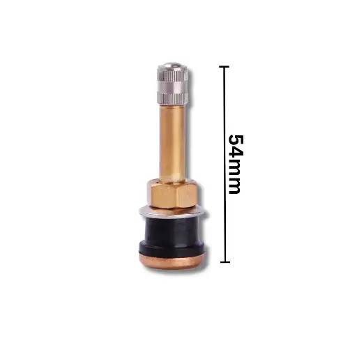 [212504] VALVE TUBELESS TRUCK TR500(595)