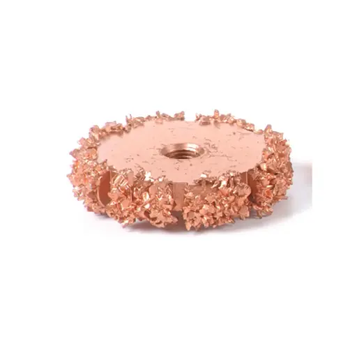 [140305] RASP (A22R10) ROUND FACE 50X19 (16 GRIT)